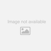 TracRac Base Rail Sliding Truck Rack System C - Fullsize Short Bed trucks